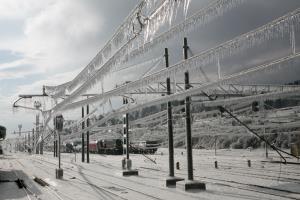 ŽLED PIVKA- Valter Leban-3848